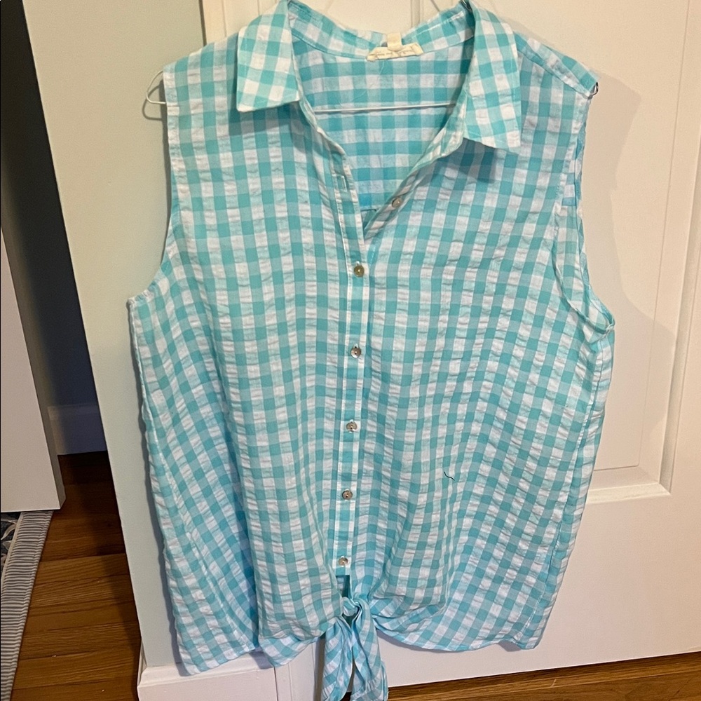 Jane and Delancey Sleeveless Blue Checkered Button Down Shirt